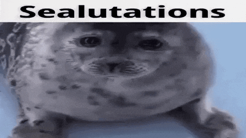 Sealutations